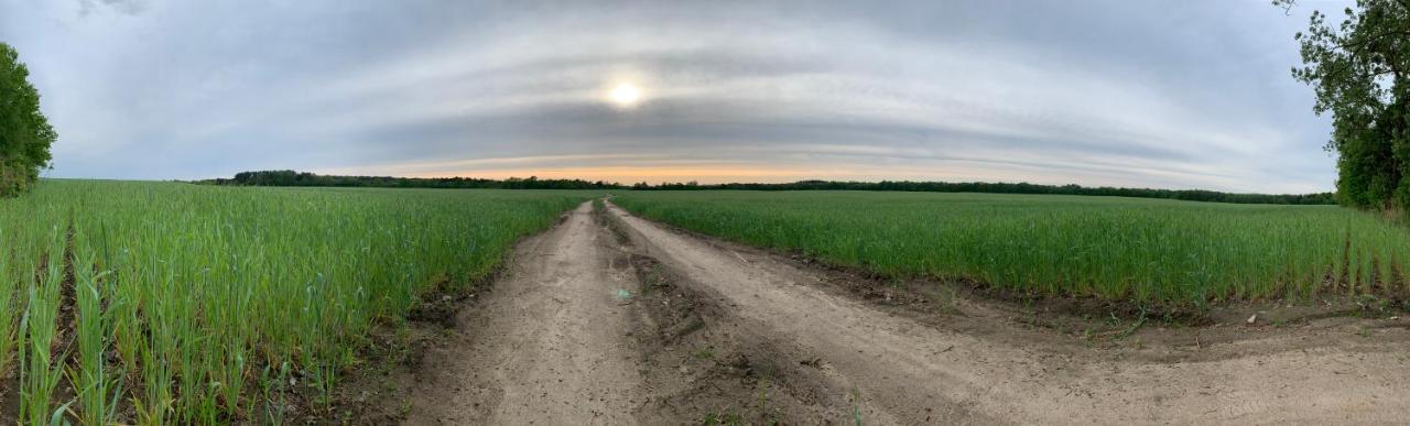 Dom Nad Jeziorem Gaja House Jadamowo Exteriör bild